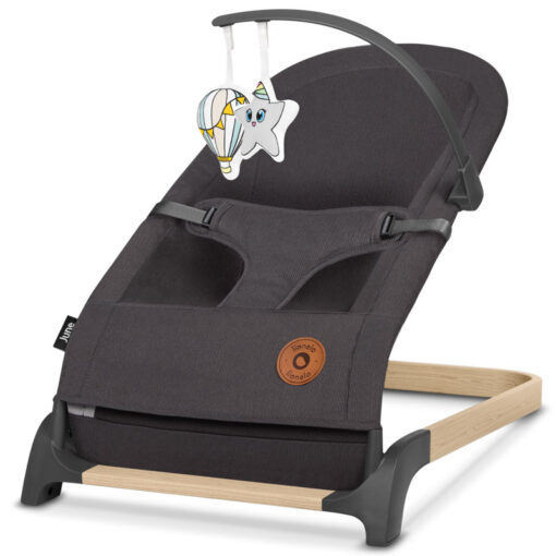 Lionelo June Baby Rocker Grey Stone